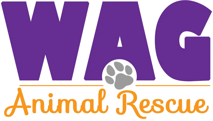 WAG Animal Rescue